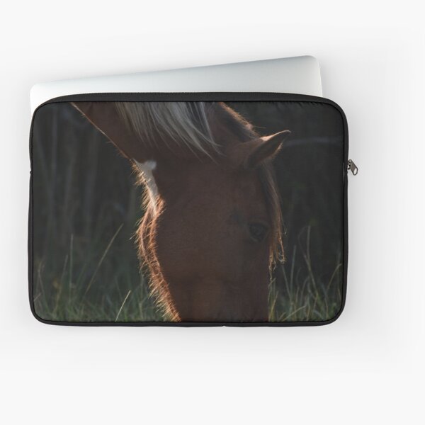 Aperçu de l'œuvre Wild Assateague avec un ami créée et vendue par mistyponiesgiftshop.