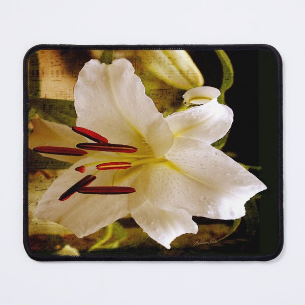 Item preview, Sweet Days of Summer ~ The Lily's in Bloom designed and sold by SummerJade.