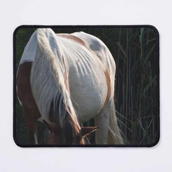 Item preview, Assateague Horse Grazin designed and sold by mistyponiesgiftshop.