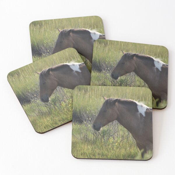 Item preview, An Assateague Leader designed and sold by mistyponiesgiftshop.