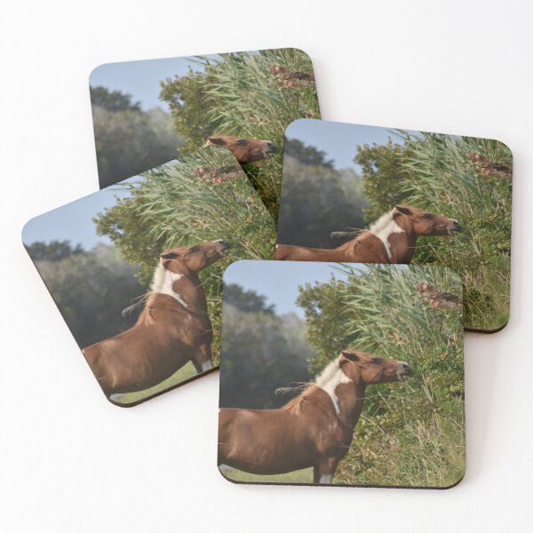 Item preview, Powerful Assateague Horse  designed and sold by mistyponiesgiftshop.