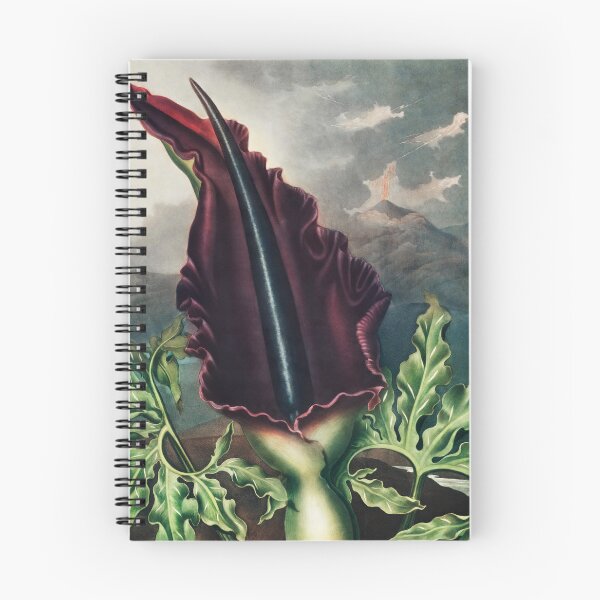 Item preview, The Dragon Arum from The Temple of Flora (1807) by Robert John Thornton. designed and sold by PureVintageLove.