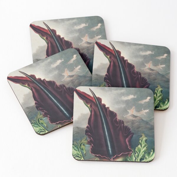 Item preview, The Dragon Arum from The Temple of Flora (1807) by Robert John Thornton. designed and sold by PureVintageLove.