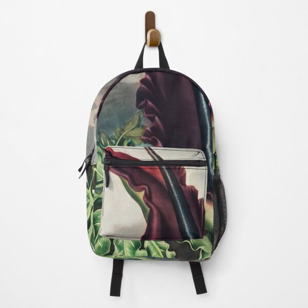 Item preview, The Dragon Arum from The Temple of Flora (1807) by Robert John Thornton. designed and sold by PureVintageLove.