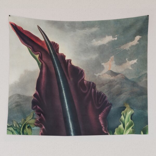 Item preview, The Dragon Arum from The Temple of Flora (1807) by Robert John Thornton. designed and sold by PureVintageLove.
