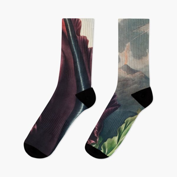 Item preview, The Dragon Arum from The Temple of Flora (1807) by Robert John Thornton. designed and sold by PureVintageLove.