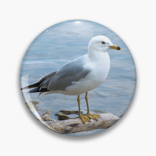 Item preview, Gull Perched On a Log designed and sold by BackyardBirder.