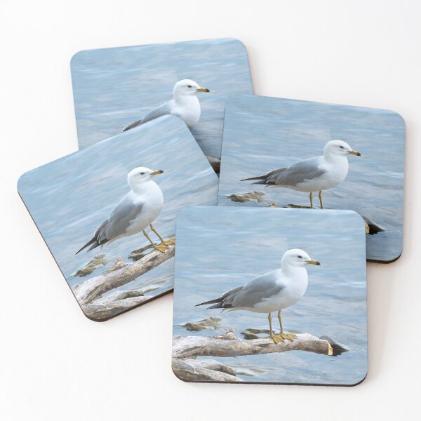 Item preview, Gull Perched On a Log designed and sold by BackyardBirder.