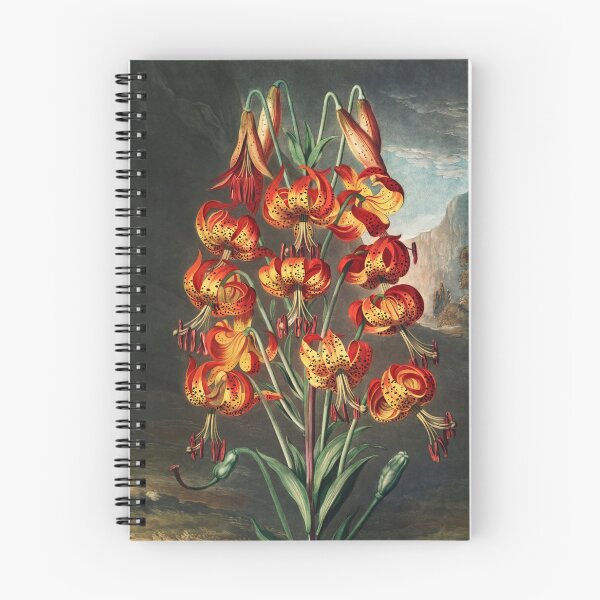 Item preview, The Superb Lily – Dramatic Vintage Botanical Art Print 1807 designed and sold by PureVintageLove.