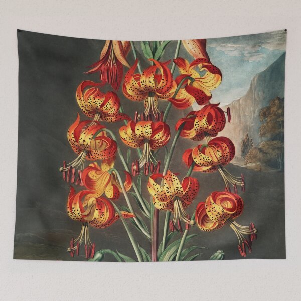 Item preview, The Superb Lily – Dramatic Vintage Botanical Art Print 1807 designed and sold by PureVintageLove.