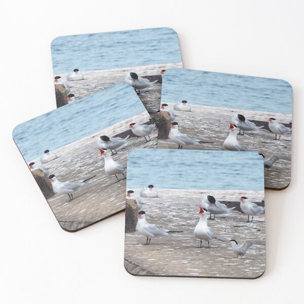 Item preview, Caspian Tern Family Yelling designed and sold by BackyardBirder.