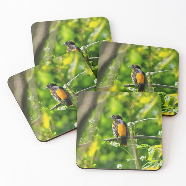 Item preview, Baltimore Oriole Perched On a Tree Branch designed and sold by BackyardBirder.