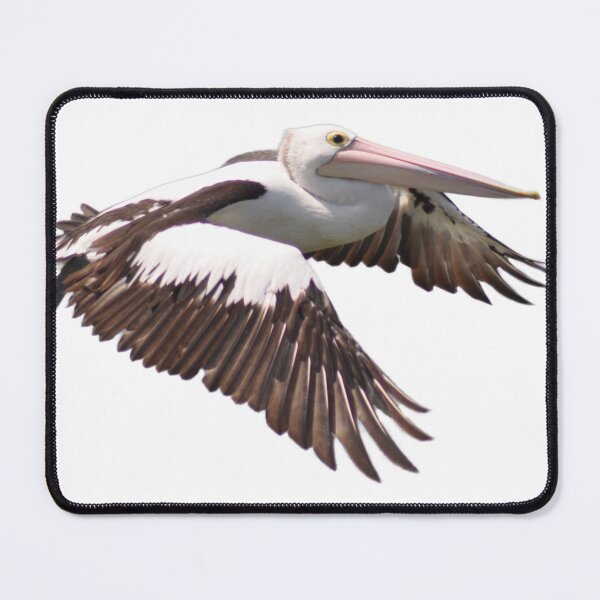 Item preview, Pelican in low level flight designed and sold by Kerry LeBoutillier.