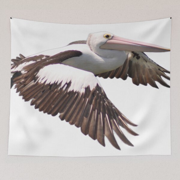 Item preview, Pelican in low level flight designed and sold by Kerry LeBoutillier.