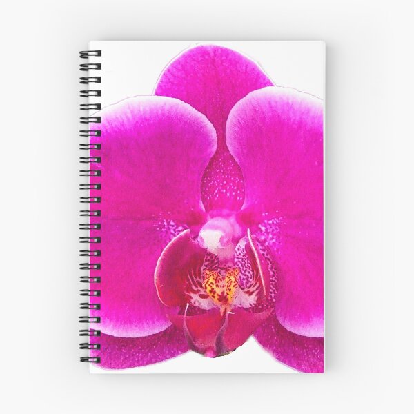 Item preview, Orchid designed and sold by Kerry LeBoutillier.