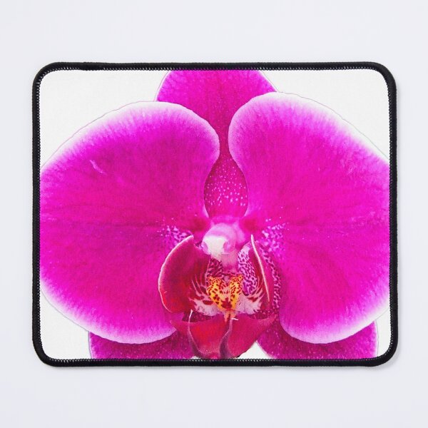 Item preview, Orquídea designed and sold by Kerry LeBoutillier.