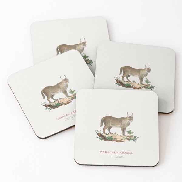 Item preview, Vintage Caracal Illustration Scientific Wildlife Art designed and sold by Vintagrafica.