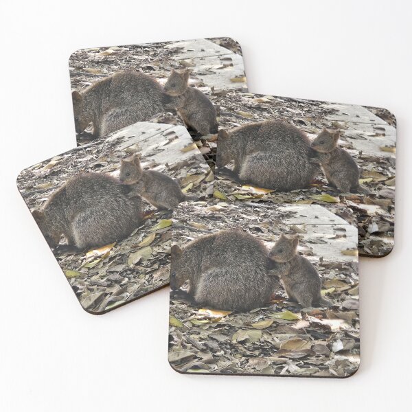 Item preview, Quokka's are so sweet on Rottnest Island designed and sold by sharon Wingard.