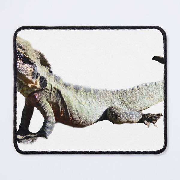 Item preview, Water dragon designed and sold by Kerry LeBoutillier.