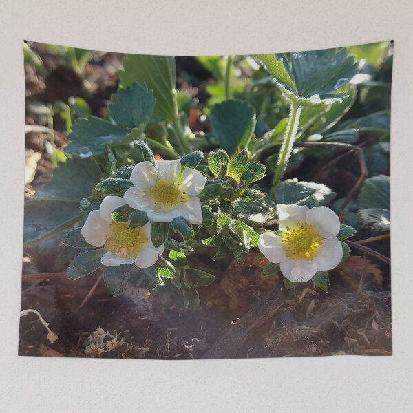 Item preview, White Strawberry Blossom designed and sold by hajarsdeco.