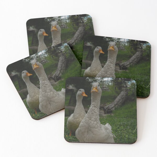 Item preview, Ducks designed and sold by Betweenphoto.