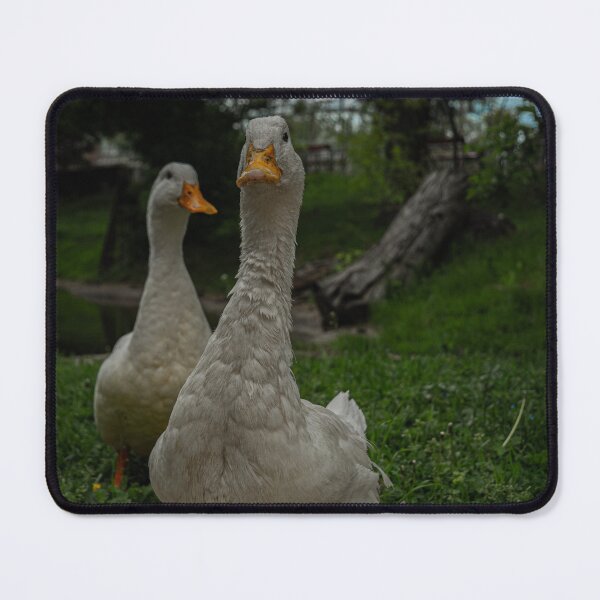 Item preview, Ducks designed and sold by Betweenphoto.