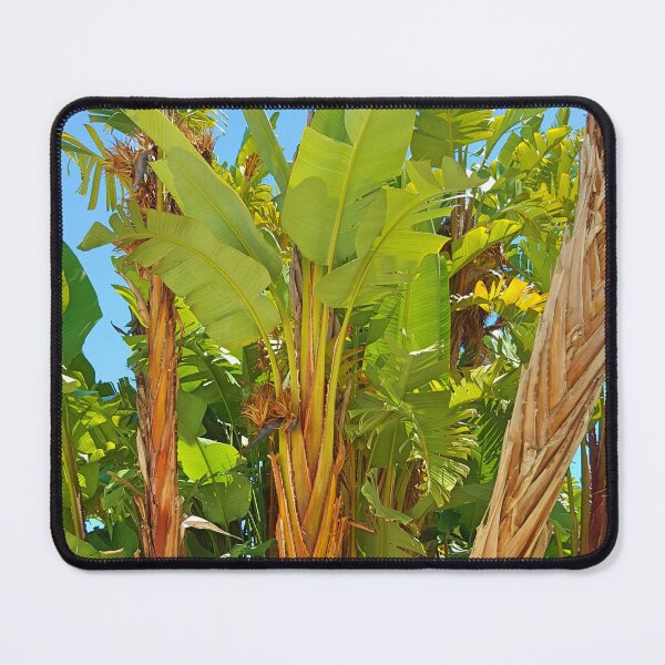 Item preview, tropical leaves, ravenala designed and sold by Tereza Pilar  Art.