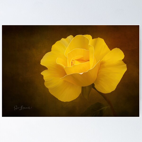 Item preview, Rose jaune peinte numériquement designed and sold by Sue Leonard.