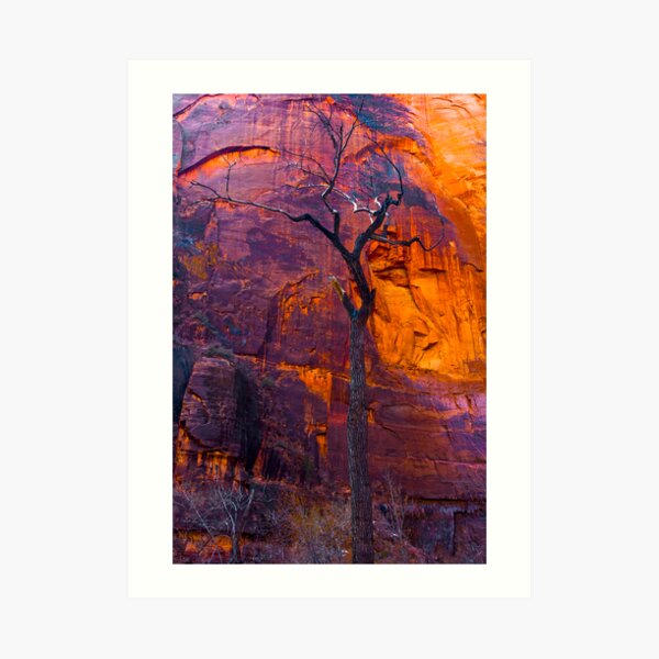 Burning Tree, zion Art Print