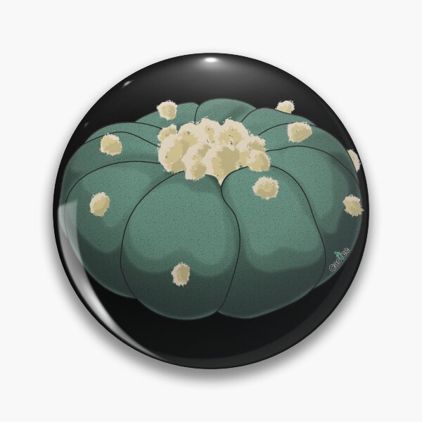 Item preview, Lophophora Payote Sacred Cactus designed and sold by Cactee.