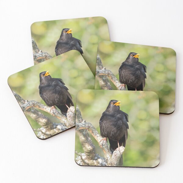 Item preview, Blackbird Turdus merula designed and sold by Dorset Girl.