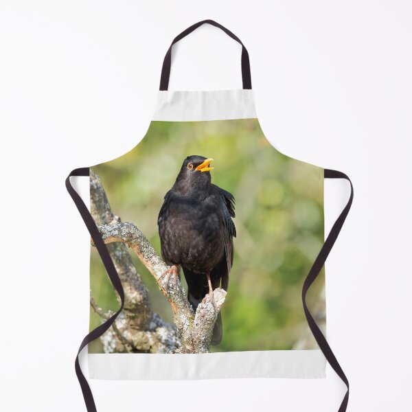 Item preview, Blackbird Turdus merula designed and sold by Dorset Girl.