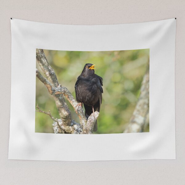 Item preview, Blackbird Turdus merula designed and sold by Dorset Girl.