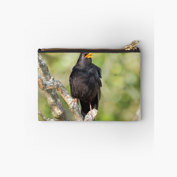 Item preview, Blackbird Turdus merula designed and sold by Dorset Girl.