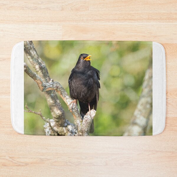 Item preview, Blackbird Turdus merula designed and sold by Dorset Girl.