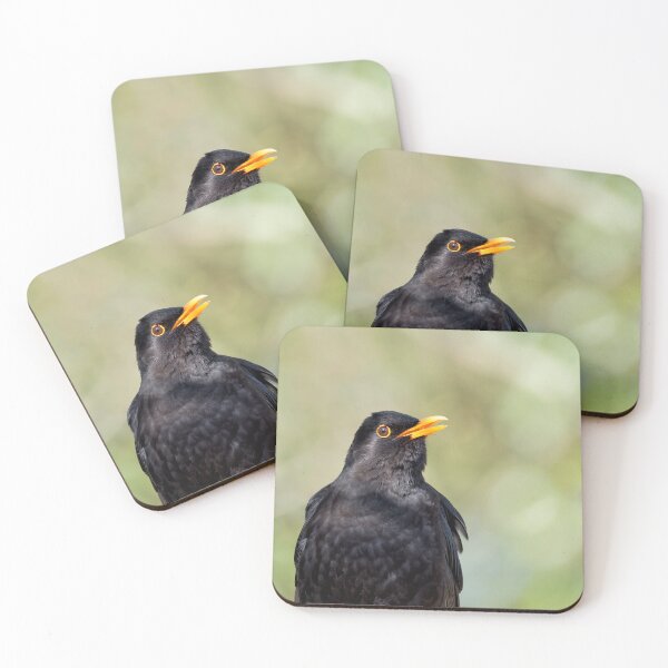 Item preview, Blackbird Turdus merula designed and sold by Dorset Girl.