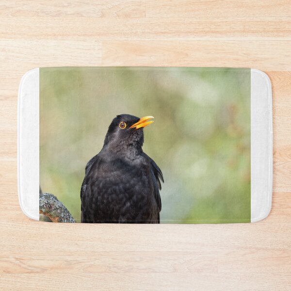 Item preview, Blackbird Turdus merula designed and sold by Dorset Girl.