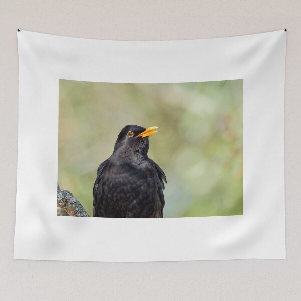 Item preview, Blackbird Turdus merula designed and sold by Dorset Girl.