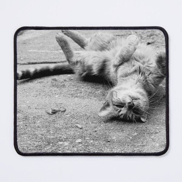 Item preview, Alley Cat Black And White designed and sold by MercerImages.