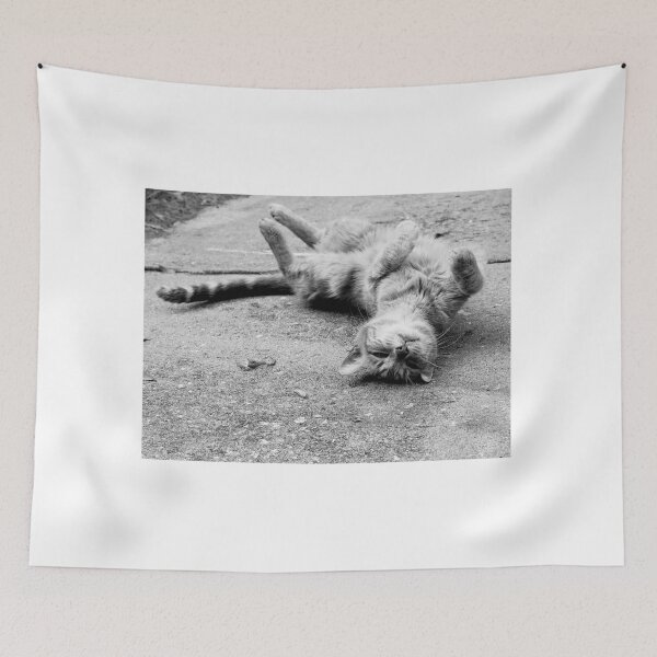 Item preview, Alley Cat Black And White designed and sold by MercerImages.