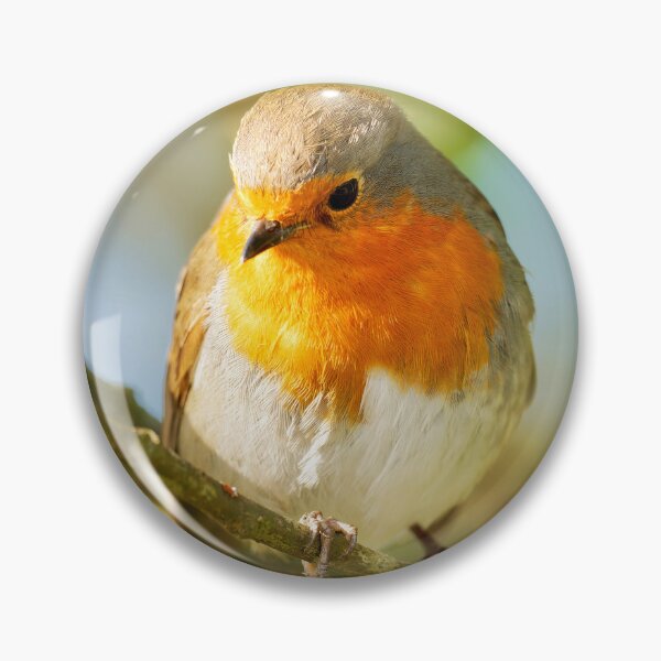 Item preview, English Robin Erithacus rubecula designed and sold by Dorset Girl.