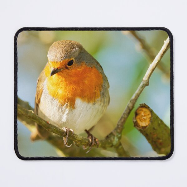 Item preview, English Robin Erithacus rubecula designed and sold by Dorset Girl.