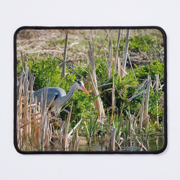 Item preview, Grey Heron Ardea cinerea designed and sold by Dorset Girl.