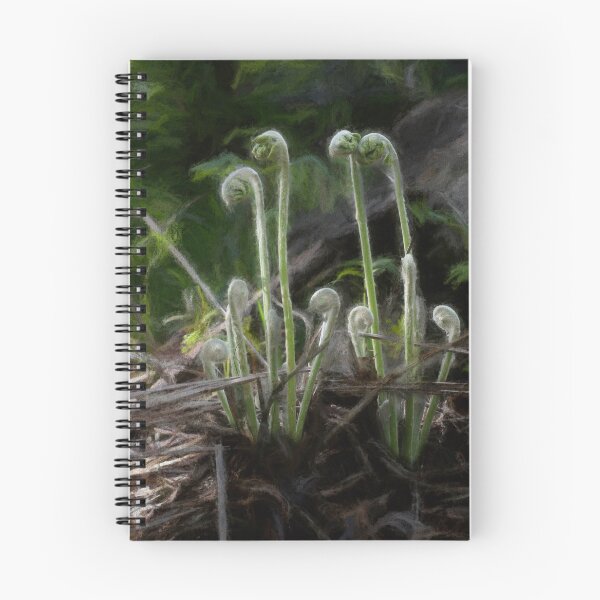 Item preview, Evening Light on Fiddleheads designed and sold by Wayne King.
