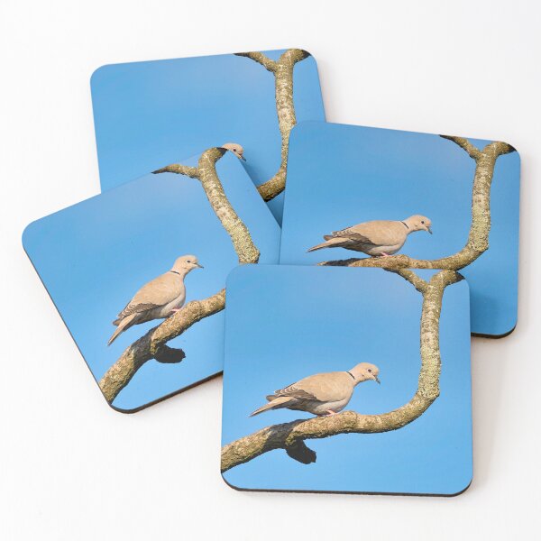 Item preview, Eurasian Collared-Dove Streptopelia decaocto designed and sold by Dorset Girl.