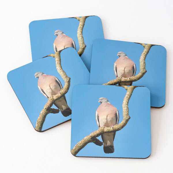 Item preview, Wood-pigeon Columba palumbus designed and sold by Dorset Girl.