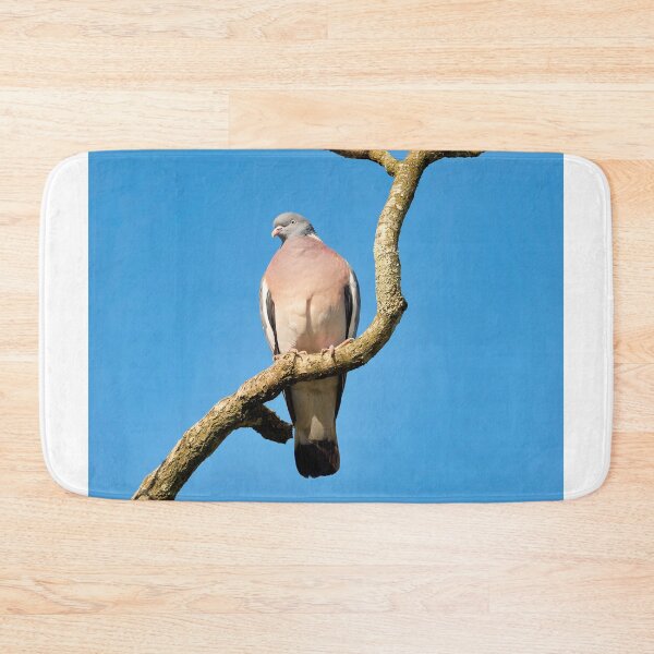 Item preview, Wood-pigeon Columba palumbus designed and sold by Dorset Girl.