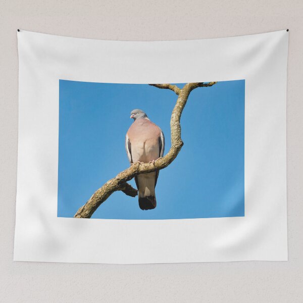 Item preview, Wood-pigeon Columba palumbus designed and sold by Dorset Girl.
