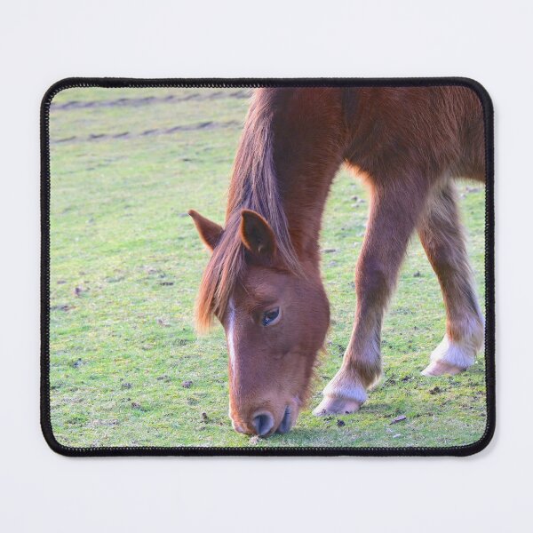 Item preview, Grazing Pony designed and sold by Lovemydesigns.