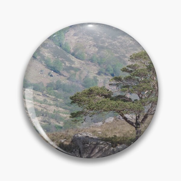 Item preview, Lone Pine Tree by Loch Maree designed and sold by Pebbles on the Beach.